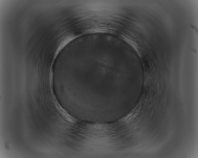 X0000097461179200803201419