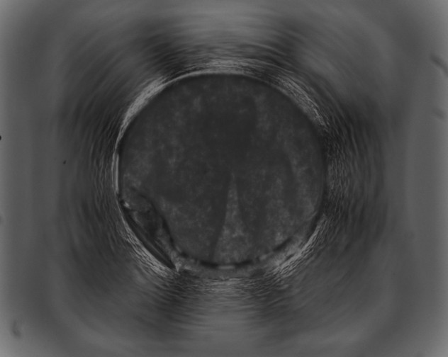 X0000097461180200803201419