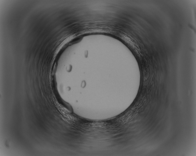 X0000097461181200803201419