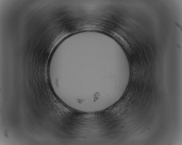 X0000097461182200803201419