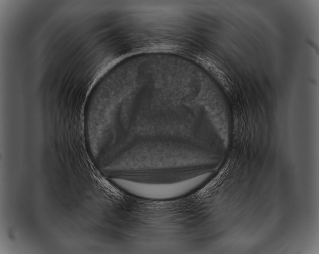 X0000097461184200803201419