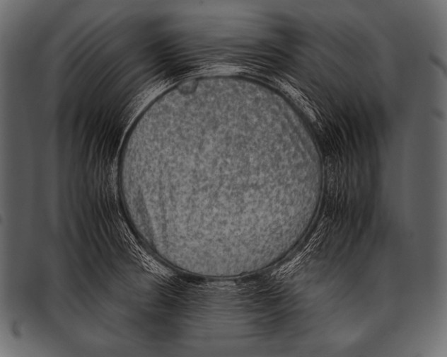 X0000097461186200803201419