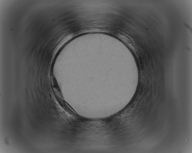 X0000097461189200803201419