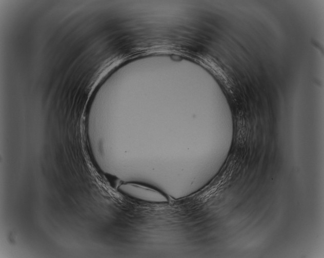 X0000097461190200803201419