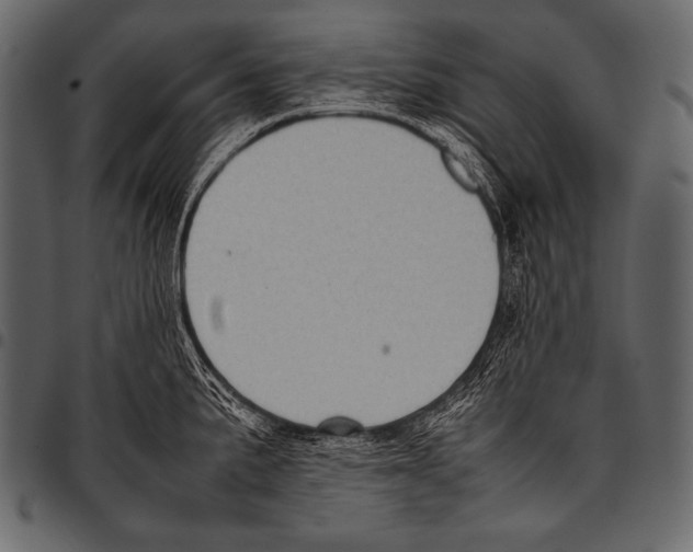 X0000097461191200803201419