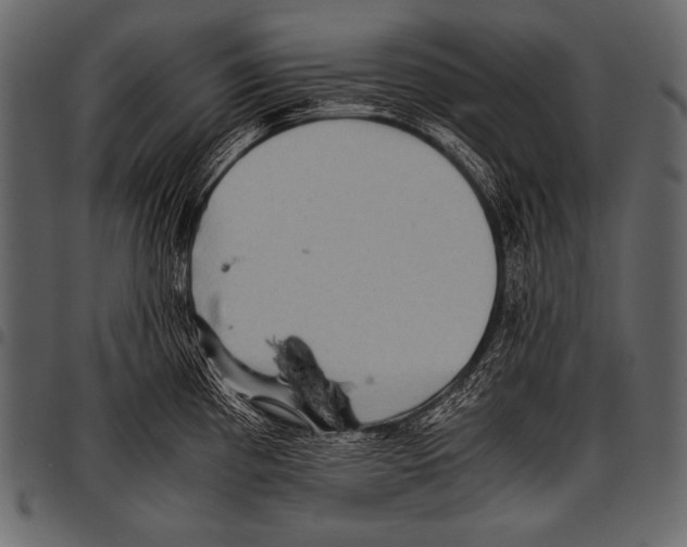 X0000097461193200803201419