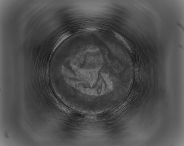 X0000097461194200803201419