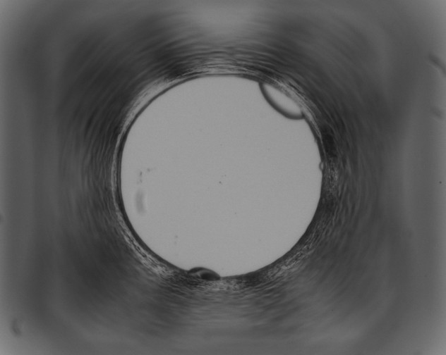 X0000097461195200803201419