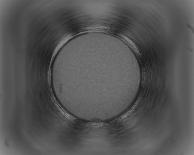 X0000097461196200803201419