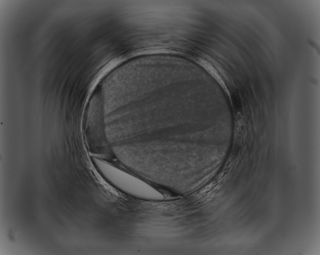 X0000097461197200803201419