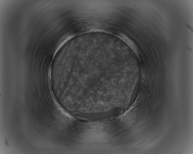 X0000097461198200803201419