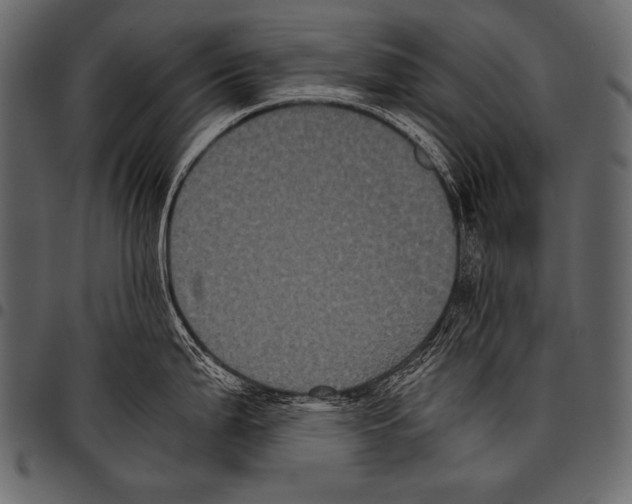 X0000097461199200803201419