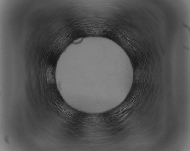 X0000097461202200803201419