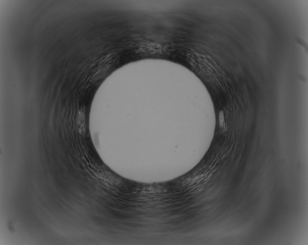 X0000097461203200803201419