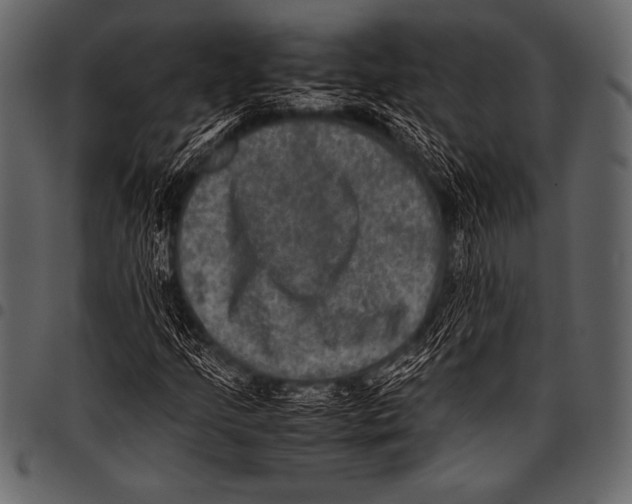 X0000097461205200803201419