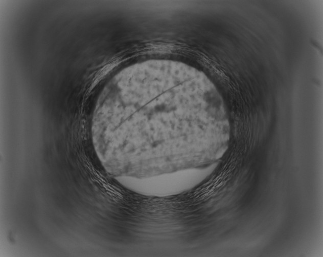 X0000097461208200803201419