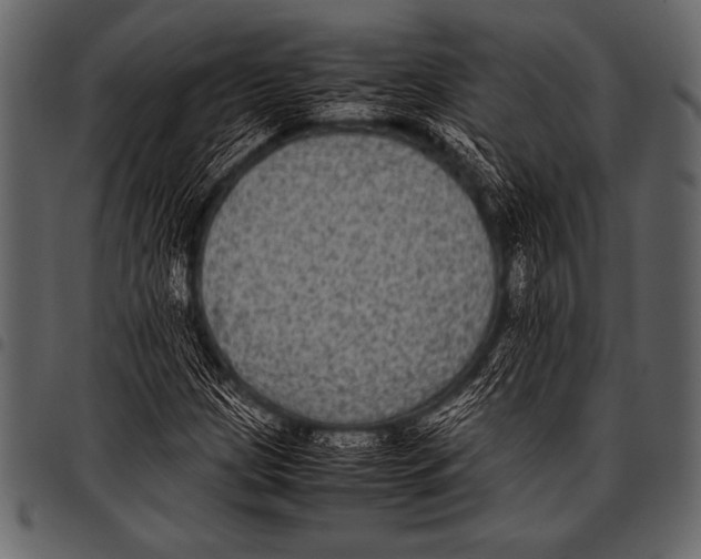 X0000097461209200803201419