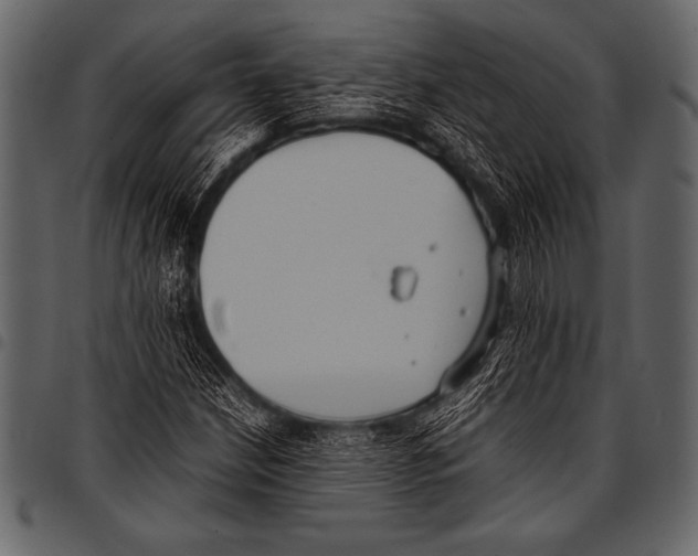 X0000097461210200803201419