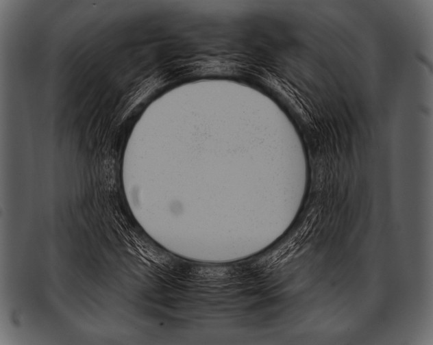 X0000097461211200803201419