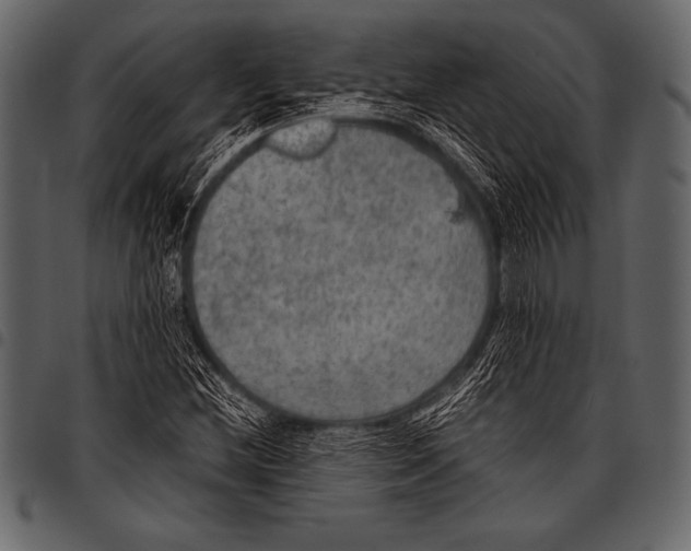 X0000097461212200803201419