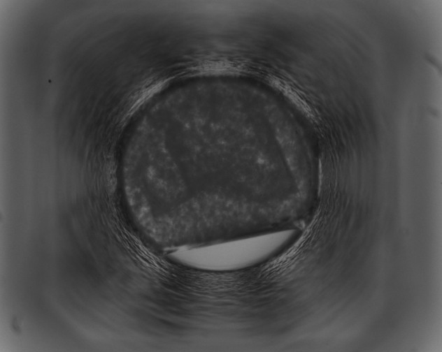 X0000097461213200803201419