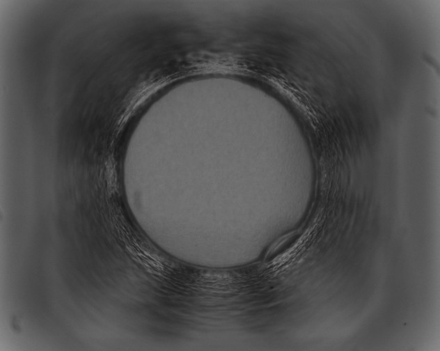 X0000097461215200803201419