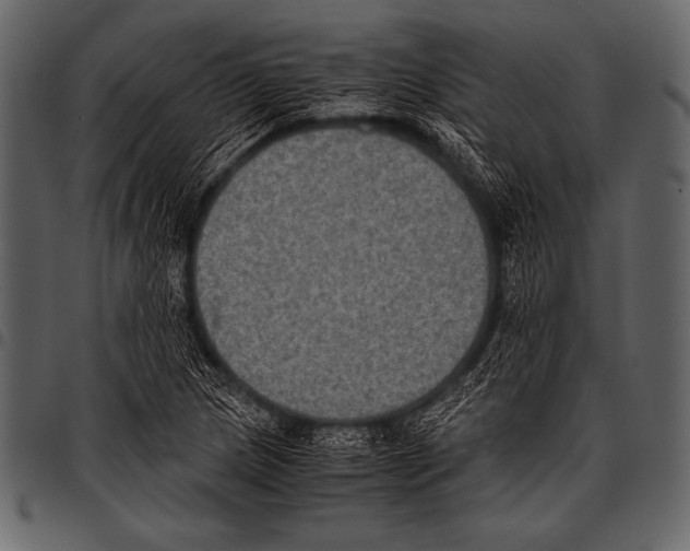 X0000097461217200803201419