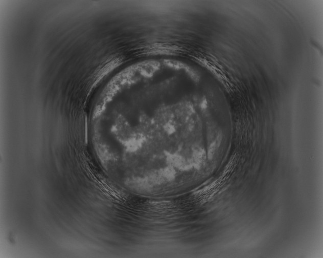 X0000097461219200803201419