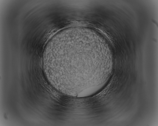 X0000097461220200803201419