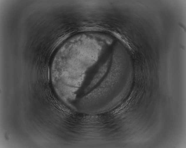 X0000097461221200803201419