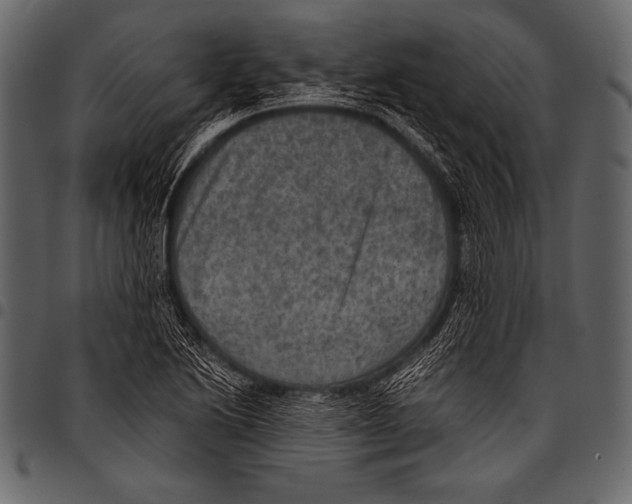 X0000097461222200803201419