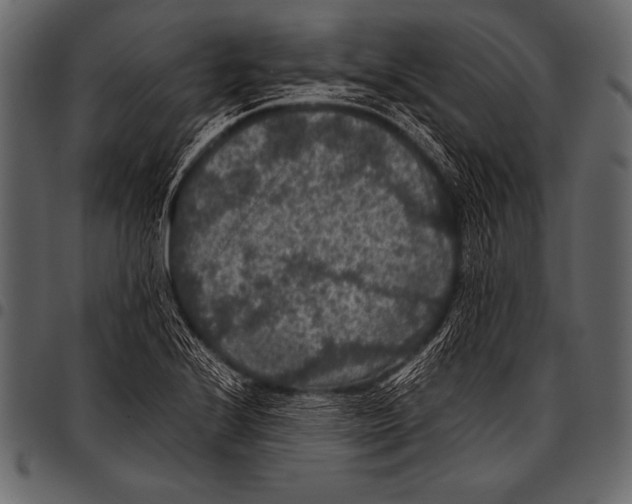 X0000097461224200803201419