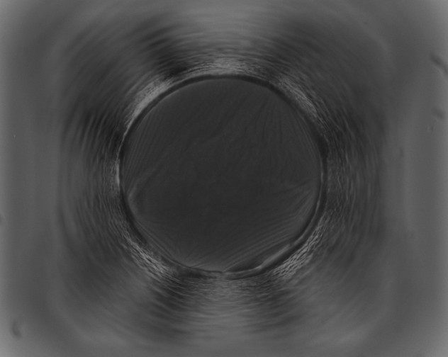 X0000097461226200803201419