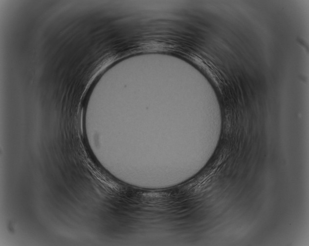 X0000097461227200803201419