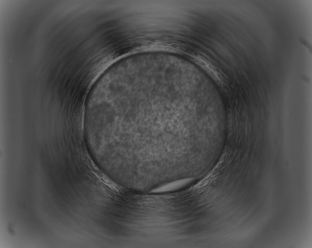 X0000097461228200803201419