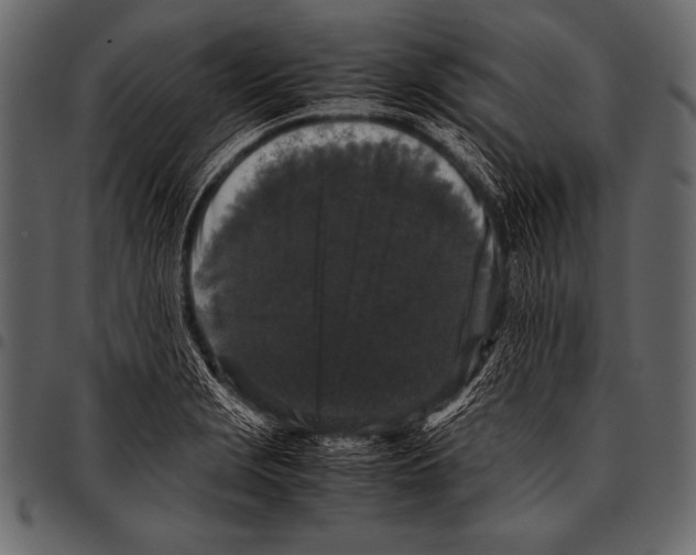 X0000097461229200803201419