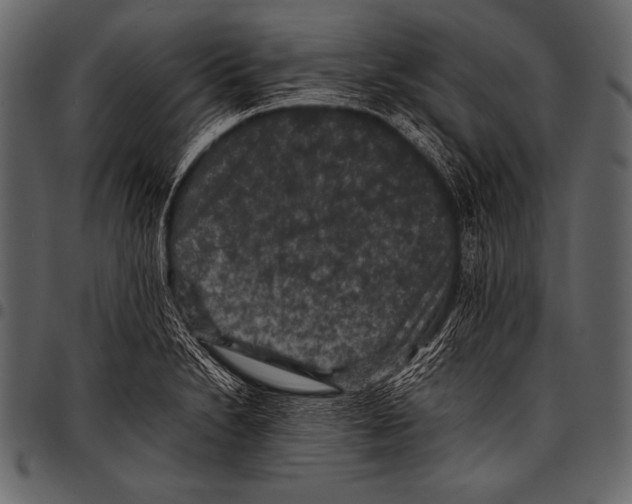 X0000097461230200803201419