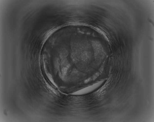 X0000097461231200803201419