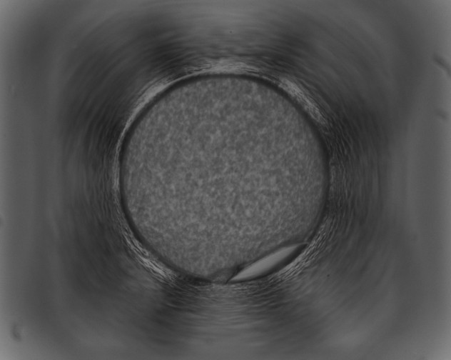 X0000097461232200803201419