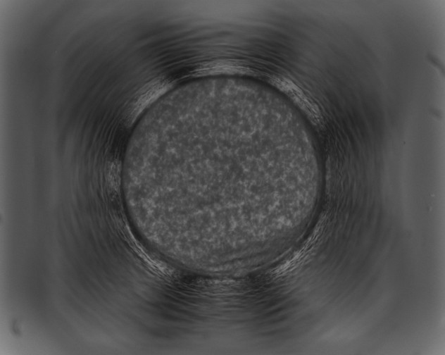 X0000097461233200803201419