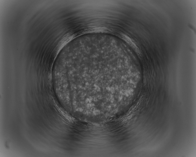 X0000097461234200803201419