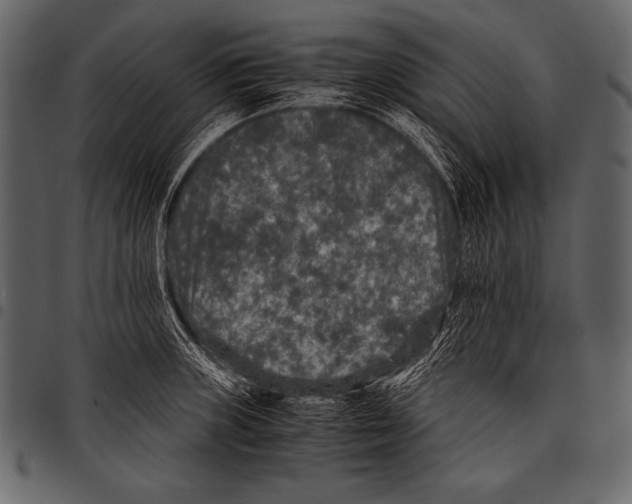 X0000097461235200803201419