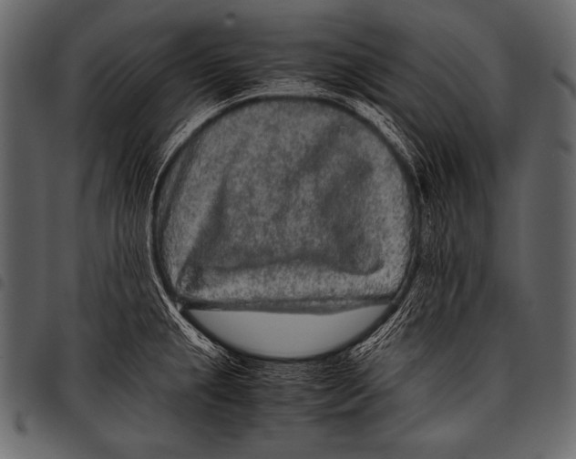 X0000097461237200803201419