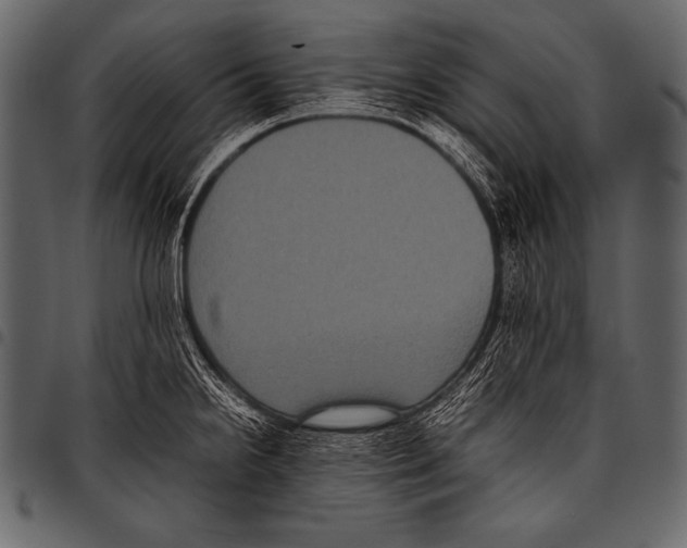 X0000097461238200803201419