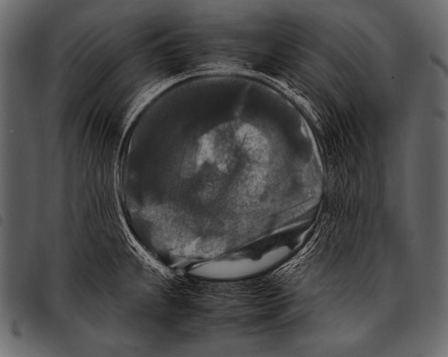 X0000097461239200803201419