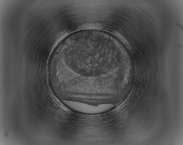 X0000097461240200803201419