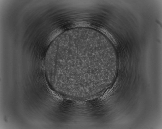 X0000097461241200803201419