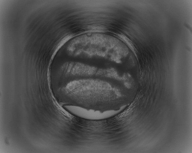 X0000097461243200803201419