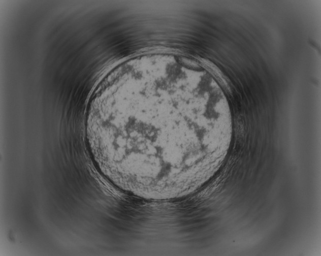 X0000097461244200803201419