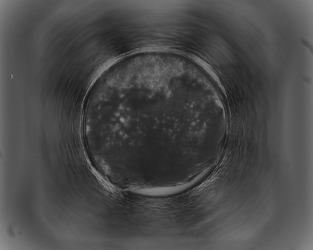 X0000097461245200803201419